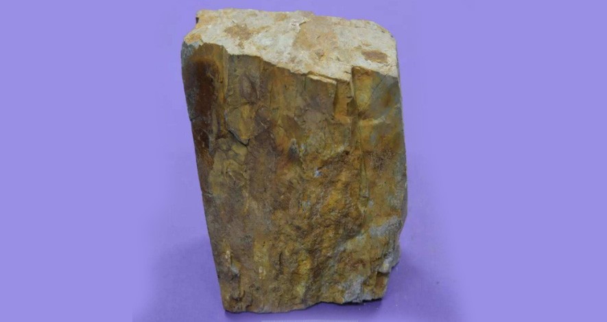 硅質(zhì)頁(yè)巖 硅質(zhì)頁(yè)巖